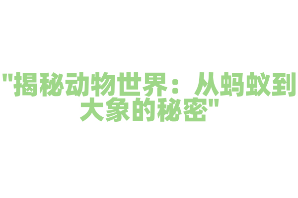 "揭秘动物世界：从蚂蚁到大象的秘密"